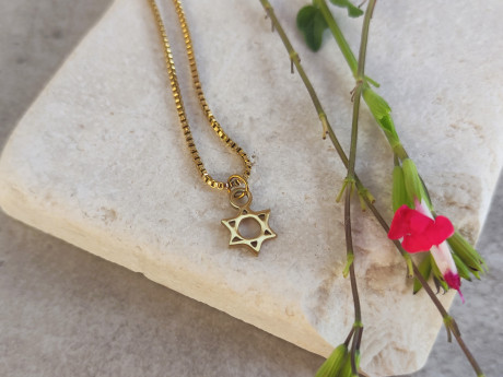 שרשרת מגן דוד