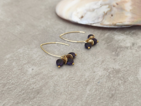 עגילי איריס