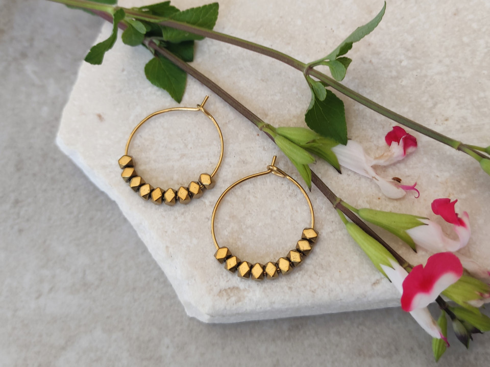 עגילי אבישג