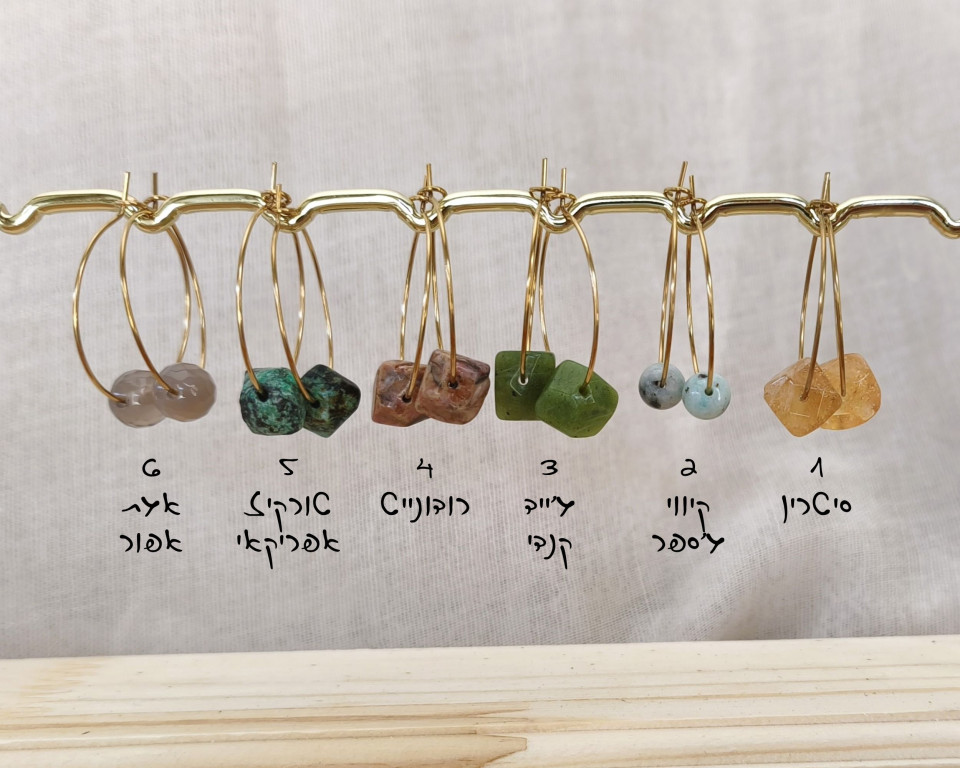 עגילי 1:1